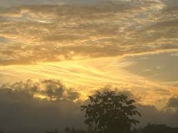 De Yabucoa 🇵🇷 📷Nilda Serrano