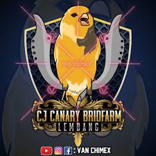  Logo Bird Canary Burungkenari Canary Birds Bird Logos Bird