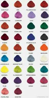 Which Wild Crazy Color Would You Go With Dyed Hair Directions Hair Dye Hair Color