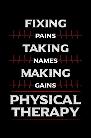 Physical therapy or physiotherapy, often abbreviated pt, is a health profession physical therapy provides services to individuals and populations to develop, maintain and restore maximum movement and functional ability throughout the lifespan. Fixing Pains Taking Names Making Gains Physical Therapy Physiotherapy Notebook To Write In 6x9 Lined 120 Pages Journal Faulk Andres 9781698048765 Amazon Com Books