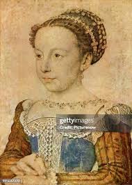 66 Marquerite Stock Photos, High-Res Pictures, and Images