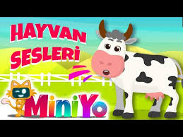 Hayvanlari Taniyalim Cocuk Sarkisi Youtube