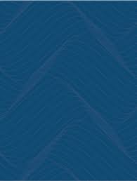 OELSCHLAGER INVESTMENTS