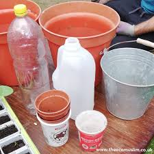 An advantage to this method over a normal pot is that you can see the roots of the plant when they get too big, so you know when it needs more space. Diy Reusing Milk Bottles As Plant Pots Theecomuslim