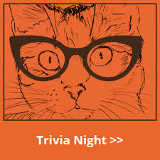 Our cat trivia is all about different cats and how they look and what are the unique specialties of different cats. Cat Trivia Questions And Answers Cat S Blog