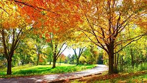 Autumn Wallpaper On Tumblr Enjoy and share your favorite beautiful hd wallpapers and background images.