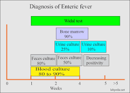 Typhoid is a bacterial infection that can lead to a high fever, diarrhea, and vomiting. Typhoid Fever Enteric Fever Salmonella Typhi