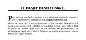Lettre modèle projet professionnel personnalisé exemple. Projet Professionnel Personnalise