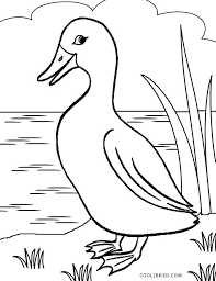 How to draw and color a duck coloring pages for children, drawings and coloring book subscribe for more coloring videos. Printable Duck Coloring Pages For Kids