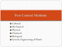 Pest control is best achieved with an integrated pest management plan using a range of biological, chemical, mechanical, physical or cultural control methods. Pest Control In Agriculture Ppt Video Online Download
