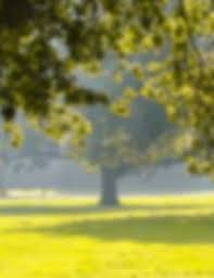 Nature Full Hd Editing Background Wallpaper All nature background photos are available in jpg, ai, eps, psd and cdr format. nature full hd editing background wallpaper