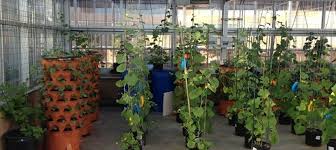 The following countries are subject to extra shipping costs: Garden Tower Canada Order Online