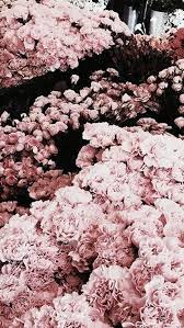 Lisandro is an unpasted, vinyl wallpaper. Rose Gold Tumblr Rose Gold Wallpaper Iphone Rose Gold Wallpaper Gold Wallpaper Background