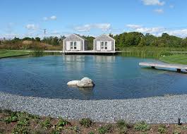 Natural Swimming Pool Design