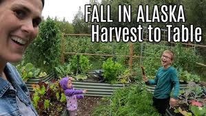 Shon & Ashley Puerto Vallarta Elopement Ceremony & First Dance May 29, 2021 