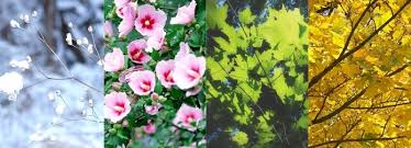 Image result for images spiritual seasons in life