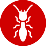 In most cases we can relocate trapped animals to a more suitable habitat and do not have to euthanize the animal. Toby S Pest Control Bowling Green