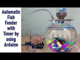 Cannot be there the hours that your fish have to eat? Category Feeders For Fishes Oho Search Engine For Sustainable Open Hardware Projects