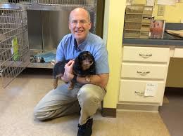 Healing with heart veterinary care is different from any other animal hospital you have experienced. Catoctin Veterinary Clinic Caring Vets For Your Family Pets