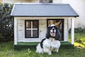 Wiring for light dog house. The Best Heated Dog Houses For Dogs In Winter The Dog People