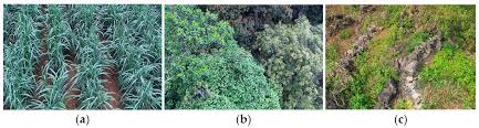 Stability Detection of Canopy RGB Images for Different Underlying Surfaces  Based