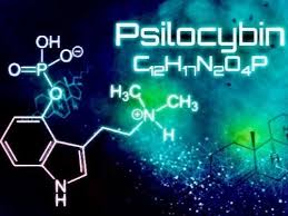 Image result for Psilocybin