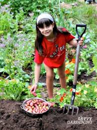 Avoid exposing them to light during storage, as this will turn the potatoes green. When To Harvest Potatoes In Garden Beds And Containers