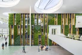 Diagonal ceiling design accentuates height of the room. Liander Offices Duiven Office Snapshots Green Wall Design Green Facade Green Office Design