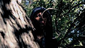 All critics (2) | fresh (2). Hidden In The Woods Blu Ray Review Rezension Kritik Cut