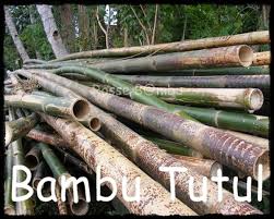 Check spelling or type a new query. Rosse Bambu Dusun Gentan Rt05 Rw19 Margoagung Seyegan Sleman Diy 0813 2888 6299