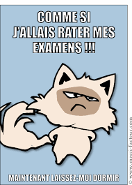 Merci Facteur Comme Si J Allais Rater Mes Examens Bonne Annee Dessin Humoristique Voeux Humour