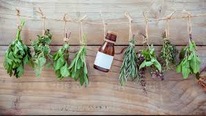 You'll notice that some plants have a variety of names, and herbs have been used in magic for thousands of years. 10 Magical Herbs To Use In Pagan Practice