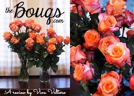 Check spelling or type a new query. A Review Of The Bouqs Flowers From A Volcano Viva Veltoro
