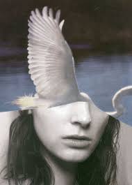 Julia Rebel Is (jrebelis)