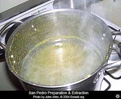 San pedro cactus is a large columnar cactus from south america's andes mountains and is a vigorous grower. Erowid Cacti Vaults San Pedro Preparation