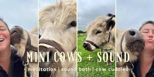 Cuddling Cows + Sound Bath