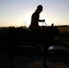 Culture inside one of san francisco's last video rental stores. Anna Lengyel Address Phone Number Public Records Radaris