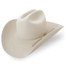 Image Detail For Stetson 20x Felt Cowboy Hats More Info Cowboy Hats Stetson Cowboy Hats Felt Cowboy Hats