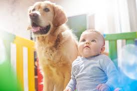We did not find results for: Levittown Pa Area Veterinarians Contact Our Langhorne Pa Pet Clinic Flowers Mill Veterinary Hospital Langhorne Pa