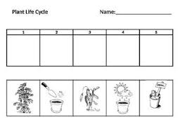 Sequencing Worksheet On A Bean Plant S Life Cycle Plant Life Cycle Life Cycles Plant Life