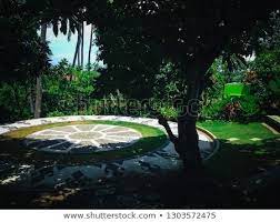 Rest Place With Shady Trees In The Garden Park At Tangguwisia Village North Bali Indonesia Shady Tree Garden Park Garden Trees