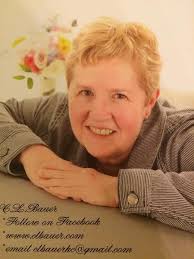 Stilettos Can Be Murder (A Lily List Mystery Exclusive) : Bauer, C L:  Amazon.co.uk: Books