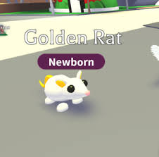 Players can also buy some pets using robux or event. Golden Rat Adopt Me Wiki Fandom
