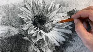 Realistic pencil settings for sai. Drawing Together Episode 29 Flower Power Artists Network