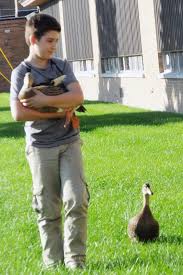 Pets blessed during annual event