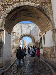 Image result for Faroa duvigneaud