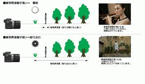 「被写界深度」の画像検索結果