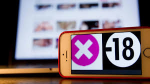 Des sites pornos accessibles sans limite dâge grâce à un VPN de Free ? Un  député saisit lArcom