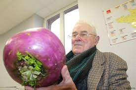 Jacques et le haricot magique. Insolite Un Octogenaire Fait Pousser Un Navet De 3 330 Kg Dans Un Jardin A Flers L Orne Combattante