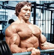 Jul 03, 2021 · für eine klimakonferenz ist arnold schwarzenegger in seine alte heimat gereist. Arnold Schwarzenegger Legenda Facebook